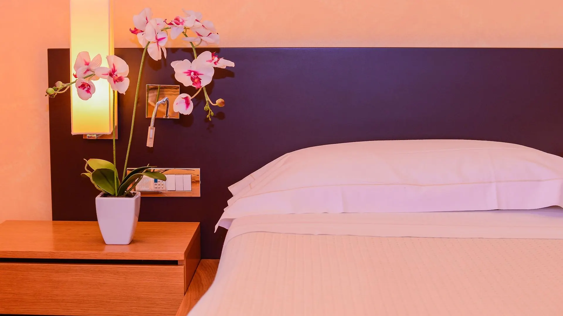Ahg Donna Silvia Wellness Hotel Manerba del Garda 4*,  Włochy